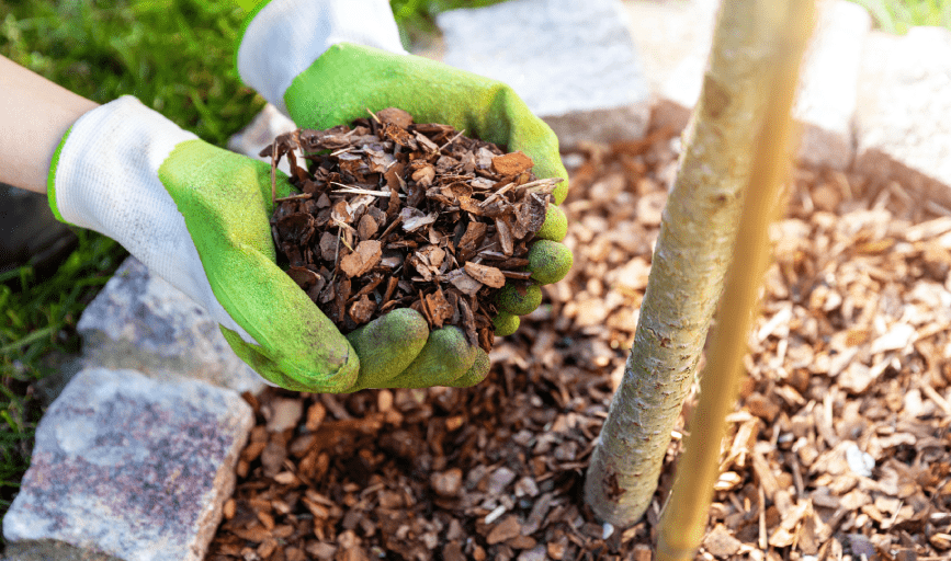 Hernandez Landscaping